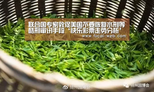 快乐彩票官网